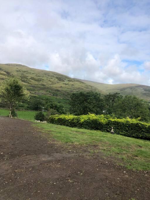 Mountain House Omeath Near Carlingford Villa O Meith Ngoại thất bức ảnh